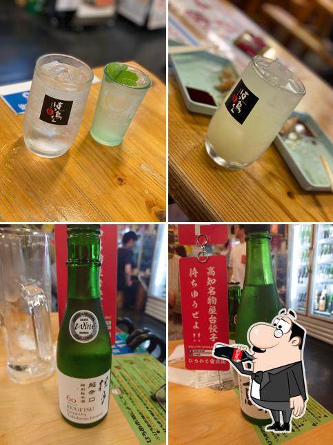土佐の地酒と肴 はっとりくん