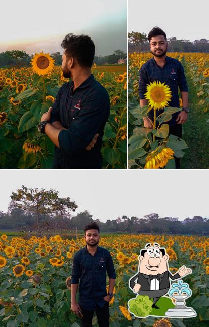ফারজানা জেনারেল স্টোর