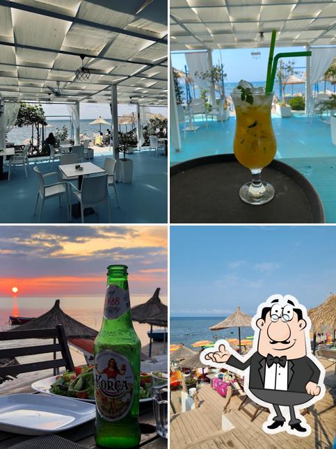 SharkBeachBar