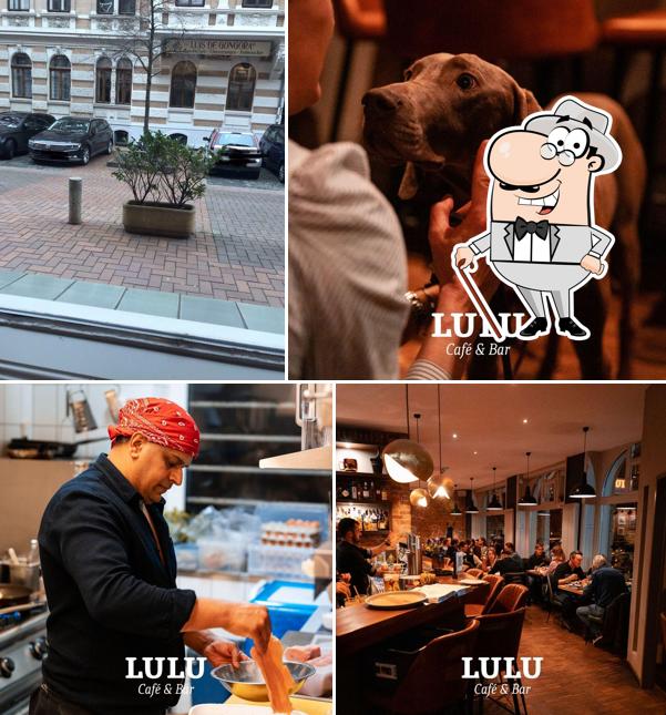 Café Lulu