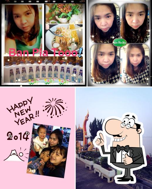 บ้านปลาทู