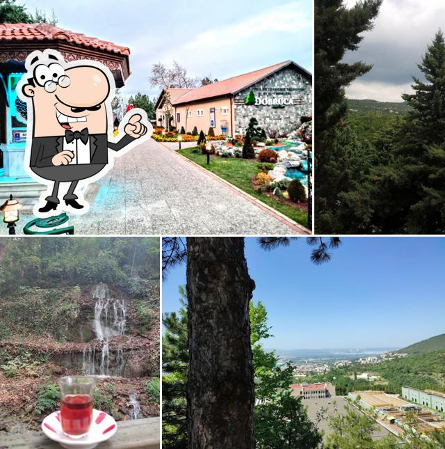 Dobruca Sosyal Tesisleri