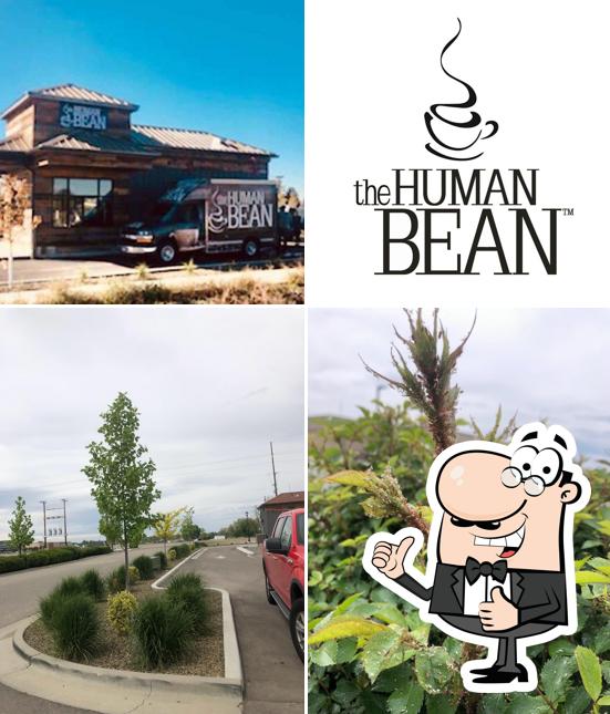 The Human Bean
