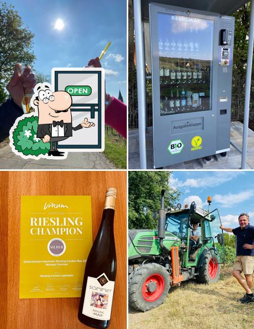 WEINOMAT SOMMER Bio & Vegan