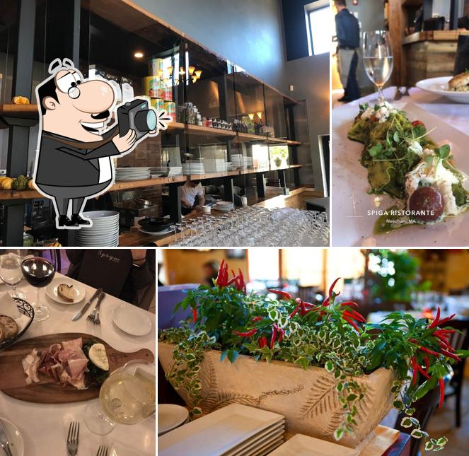 Spiga