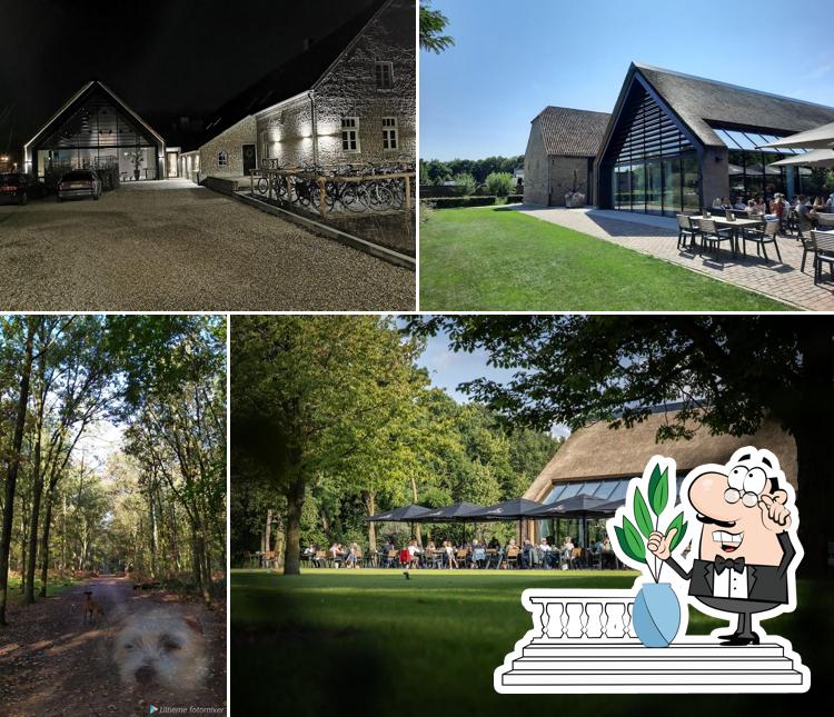 Graaf ter Horst