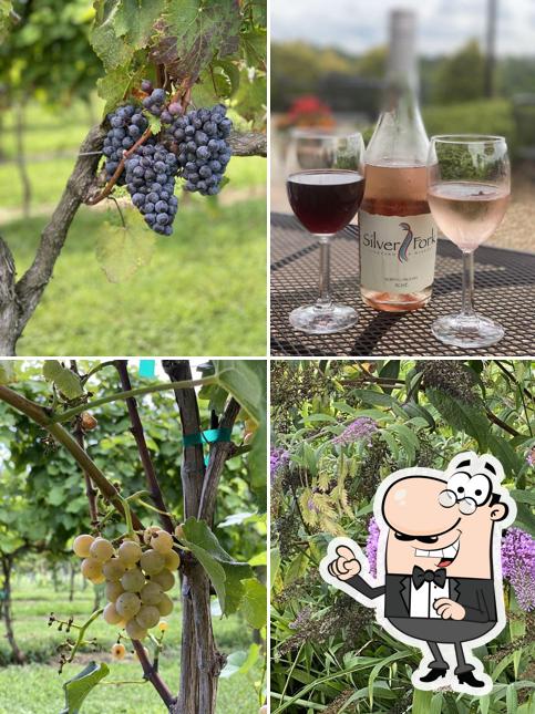 Silver Fork Winery