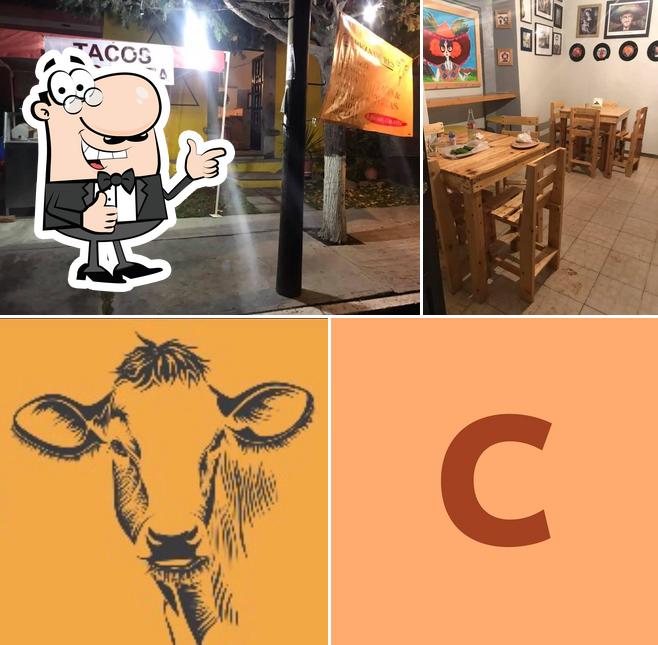 El Único Cabeza de Res