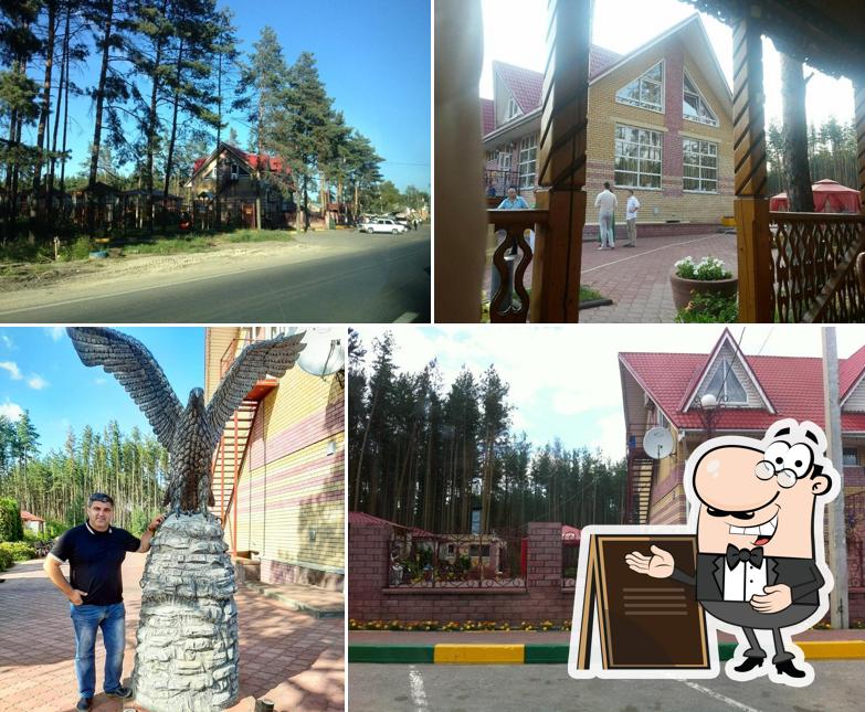 Беркут