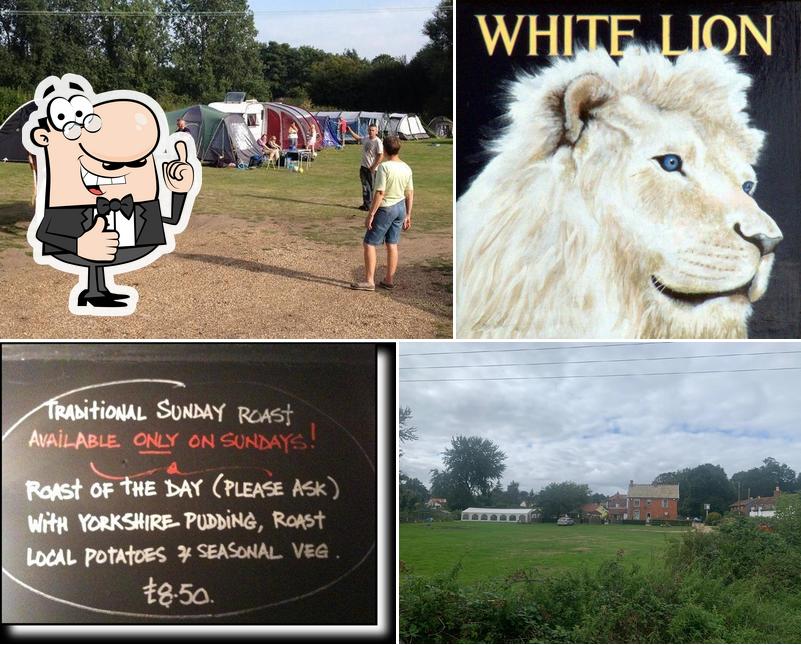The White Lion