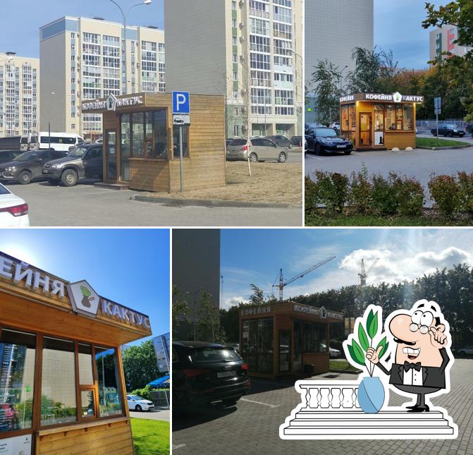 Кактус