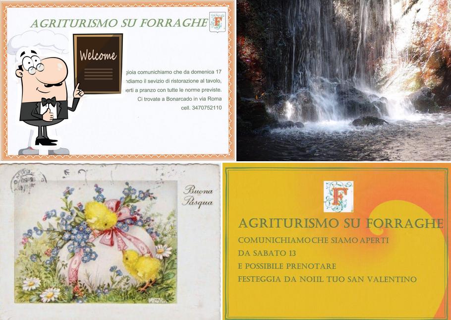 Agriturismo Su Forraghe