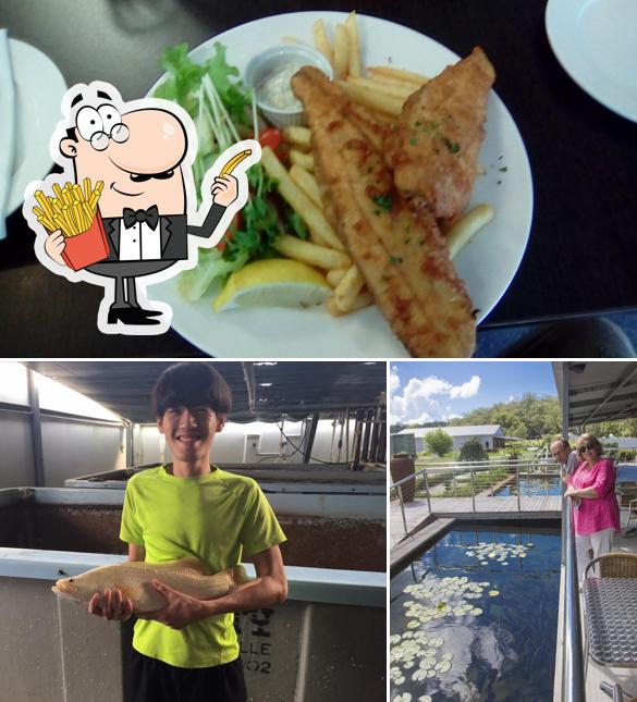 Tailor Made Fish Farms Restaurant