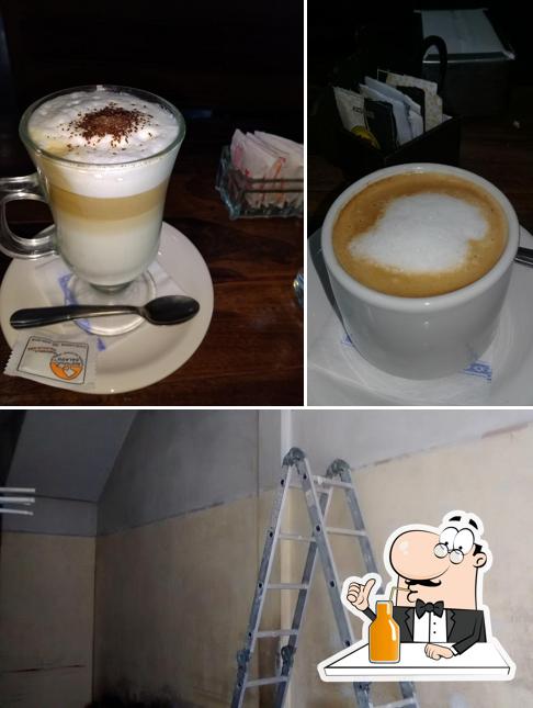 Terrícolas
