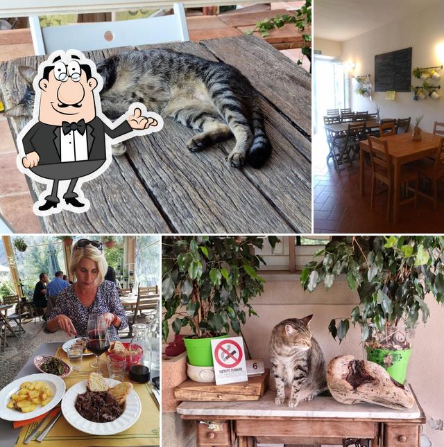 Agriturismo Ristoro Terra e Aroma