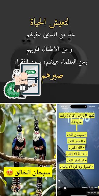 كنافه وبلح الشام