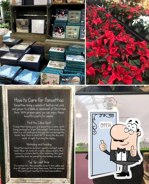 Wilmslow Garden Centre