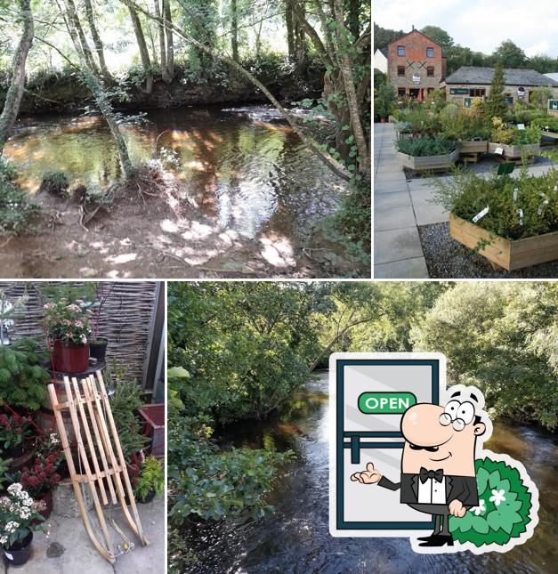 Avon Mill Garden Centre