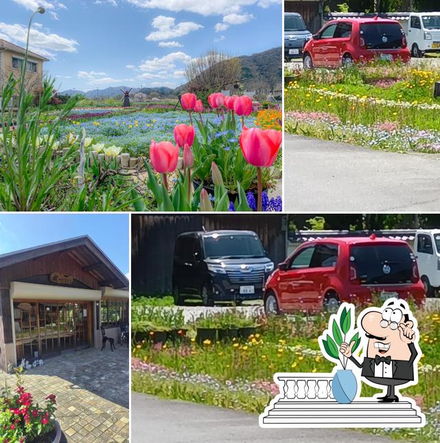 ちづちゃんの花園 cafe花・ありがとう