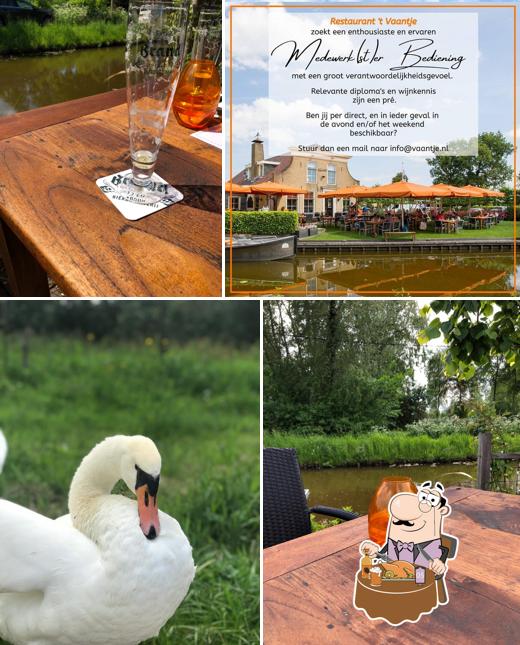Koeien en Kaas Reeuwijk