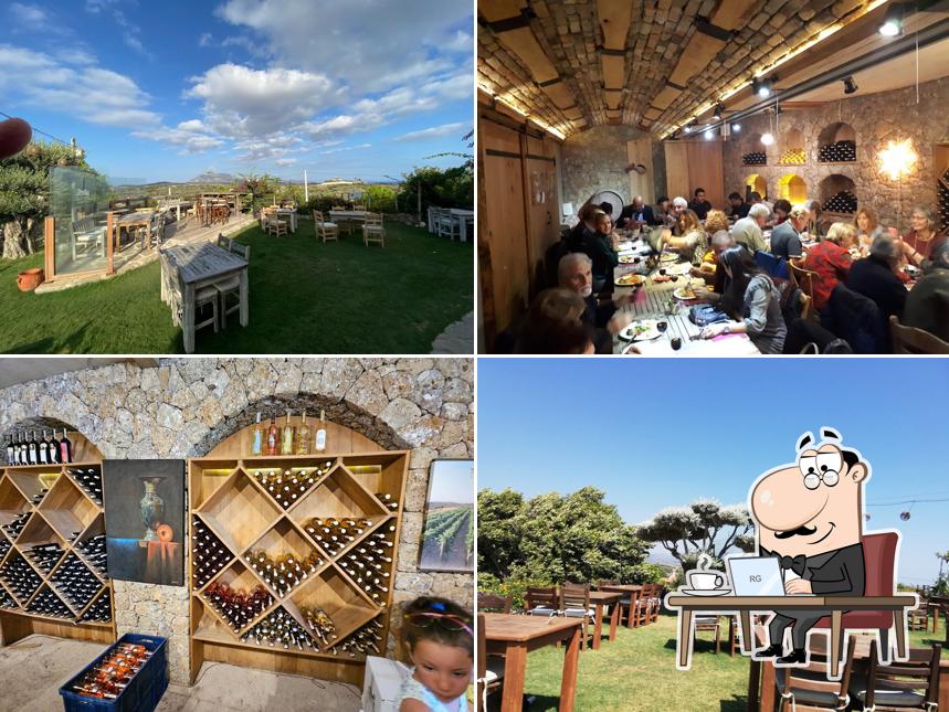 Datca Viticulture and Oenology