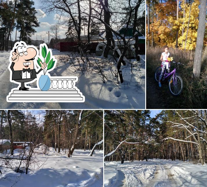 Русский Аппетит