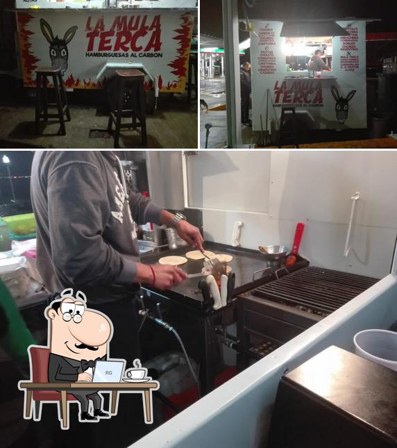 La Mula Terca