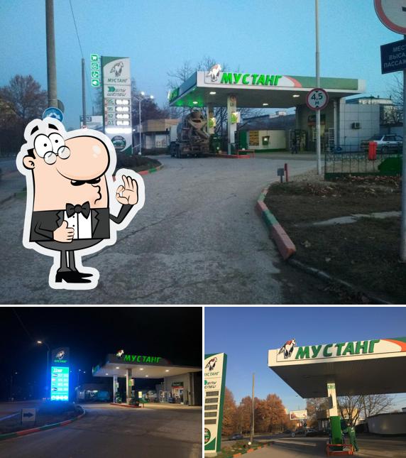 Изображение кафе "Мустанг"