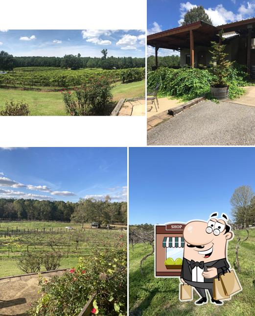 Ozan Vineyard & Winery