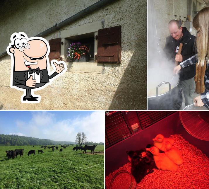 Métairie de Diesse