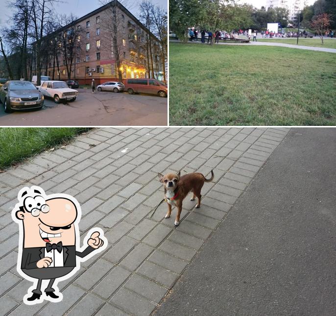 Гастроном БиМ