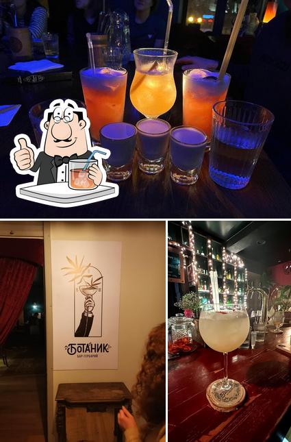 Ботаник Бар-гербарий