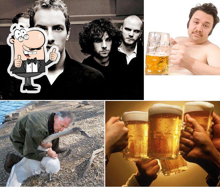 The Swan and Paedo