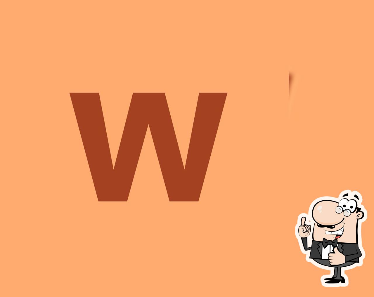 Wollys