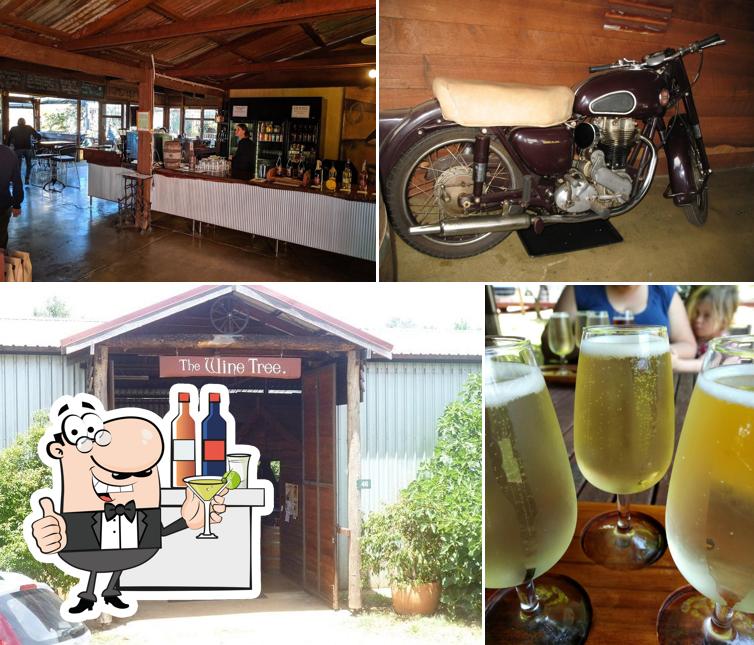 Wine Tree Cidery