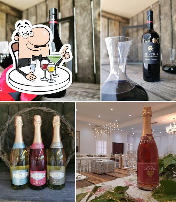 Lutzville Vineyards Tastingroom