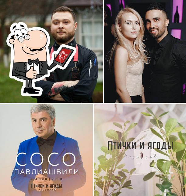 Птички и ягоды