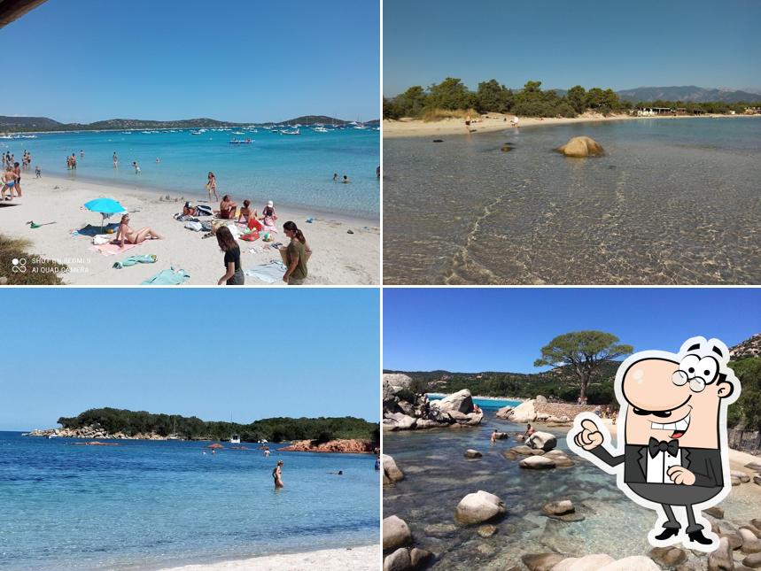 VIP Beach