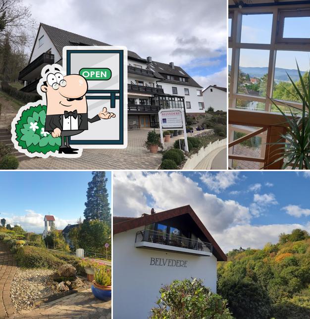 Belvedere