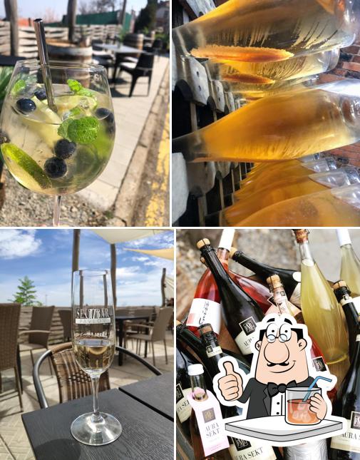 Sekt bar Pavlov