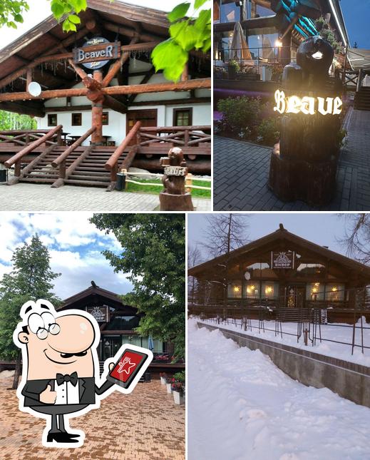 Бивер