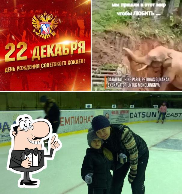 Звездный