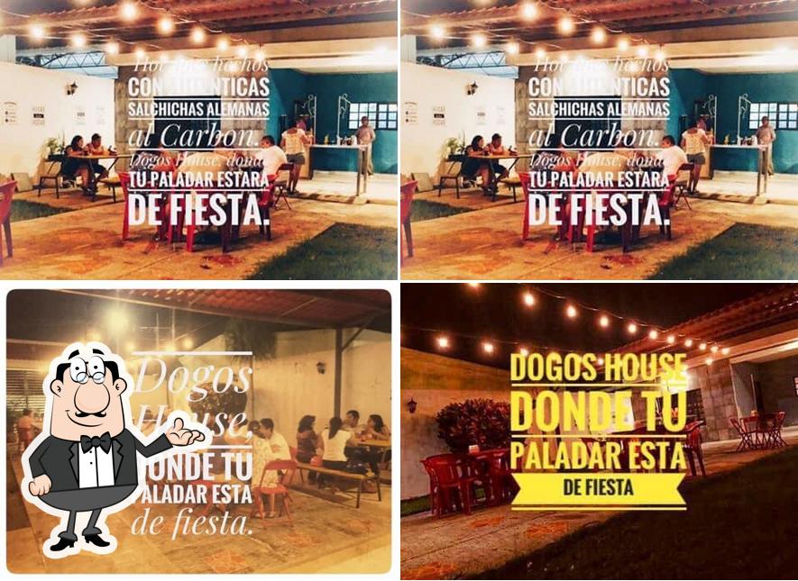 Dogos House