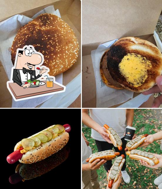 Stardogs