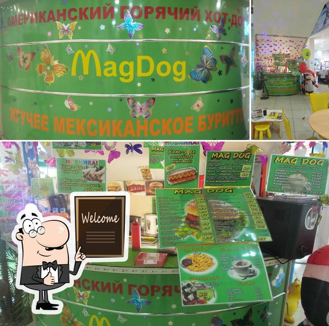 MagDog