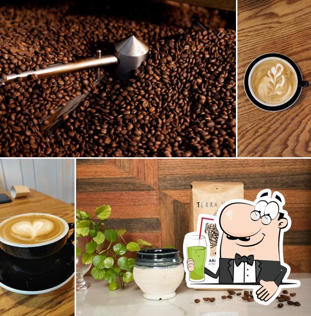 Terra Nova Coffee Roasters