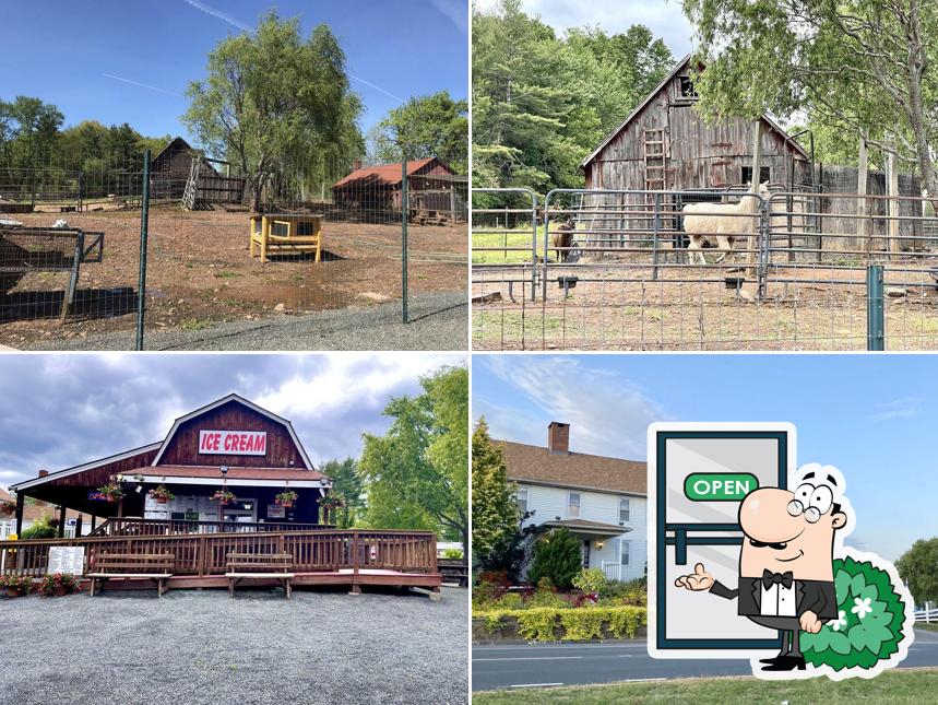 Bloom Hill Farm - Ice Cream