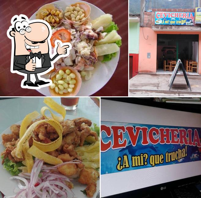 Cevicheria Ami Que Trucha