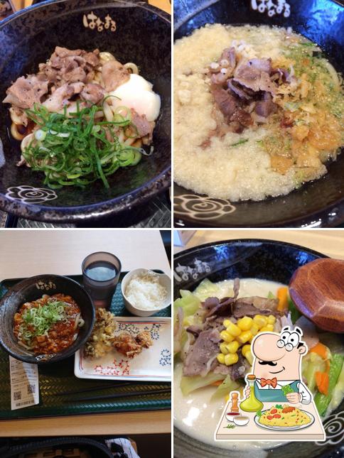 Hanamaru Udon