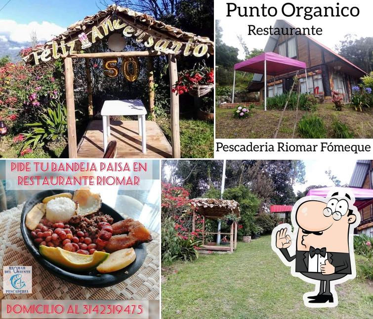 Pescaderia Campestre Riomar